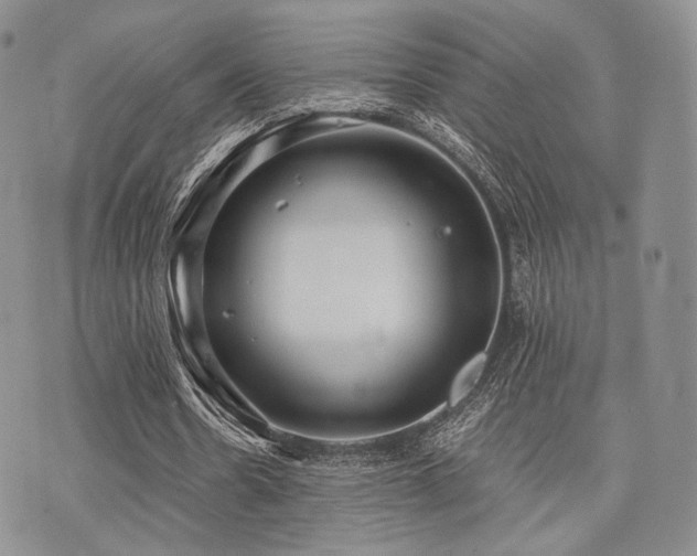 X0000073700530200608031217