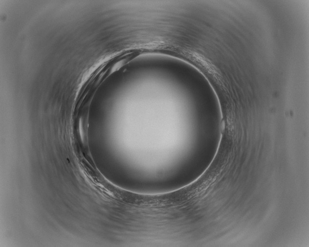 X0000073700532200608031217