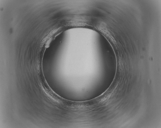 X0000073700533200608031217