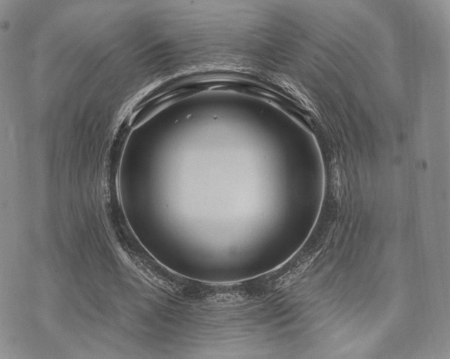 X0000073700536200608031217