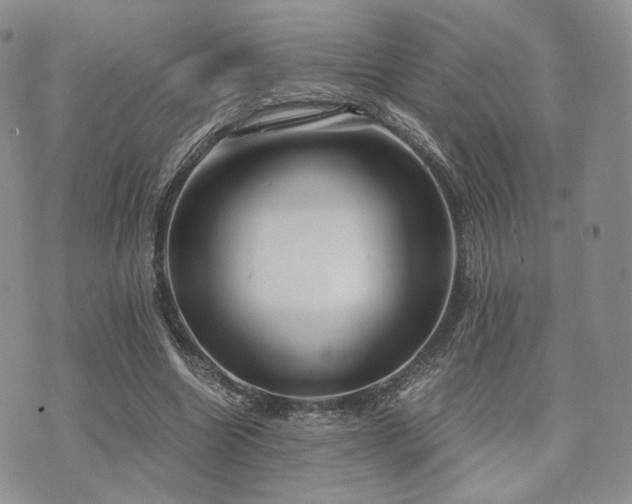 X0000073700538200608031217