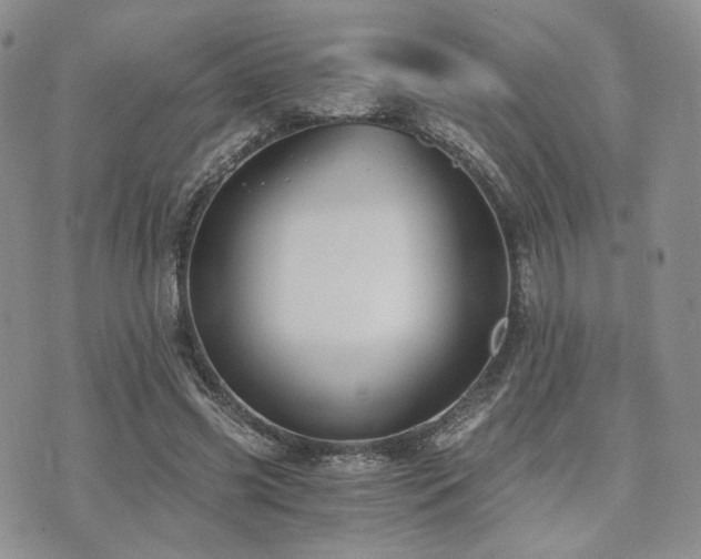 X0000073700541200608031217