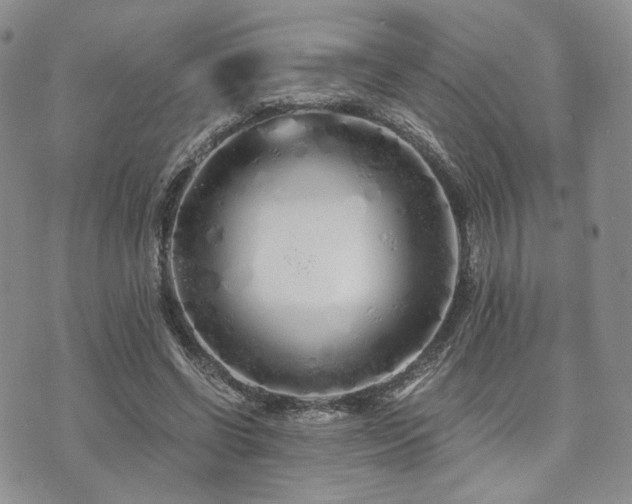 X0000073700542200608031217