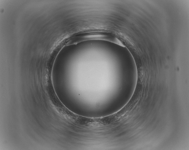 X0000073700544200608031217