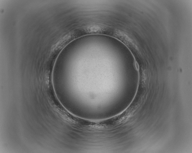 X0000073700545200608031217