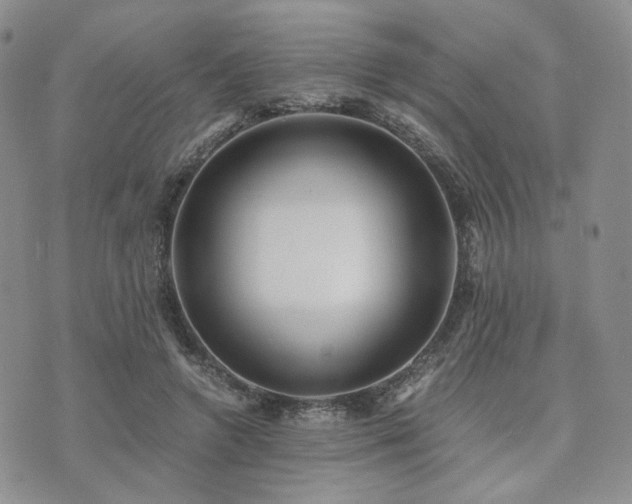 X0000073700546200608031217