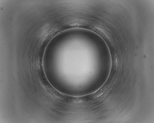 X0000073700547200608031217