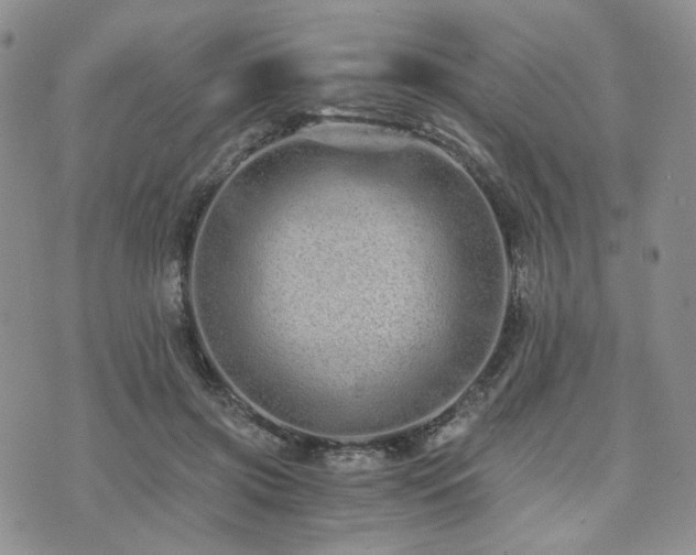 X0000073700549200608031217