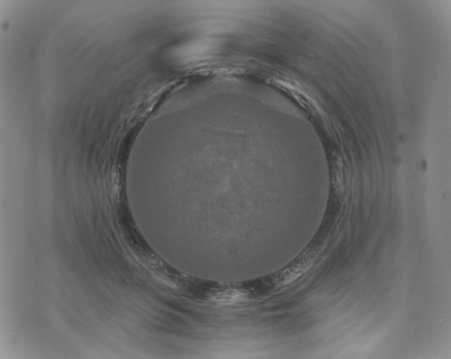 X0000073700551200608031217