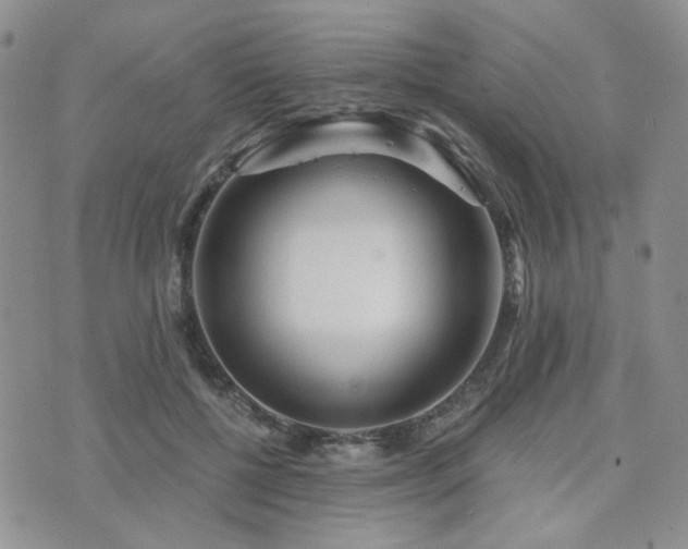 X0000073700552200608031217