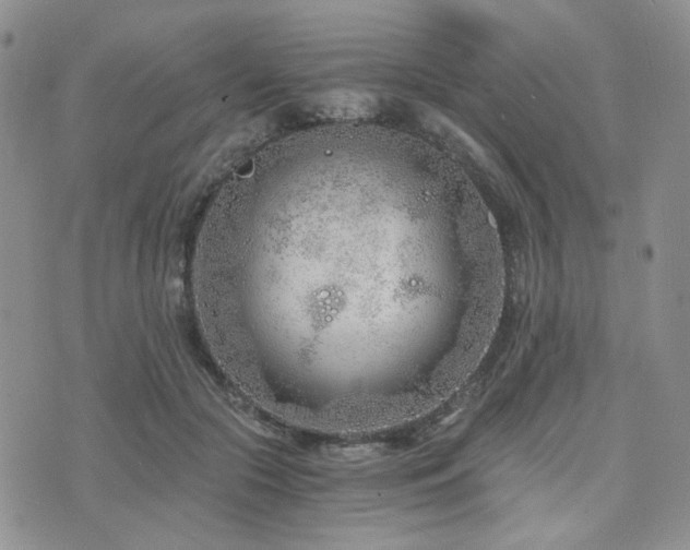 X0000073700553200608031217