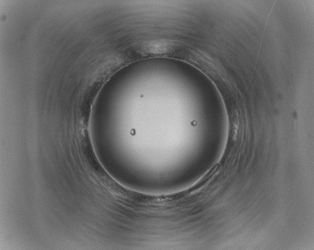 X0000073700555200608031217