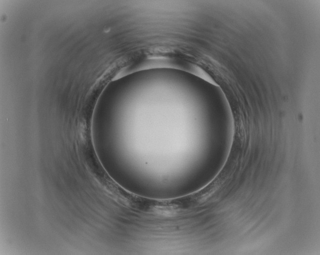 X0000073700556200608031217