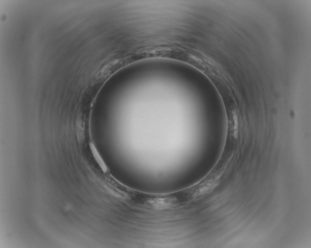 X0000073700558200608031217