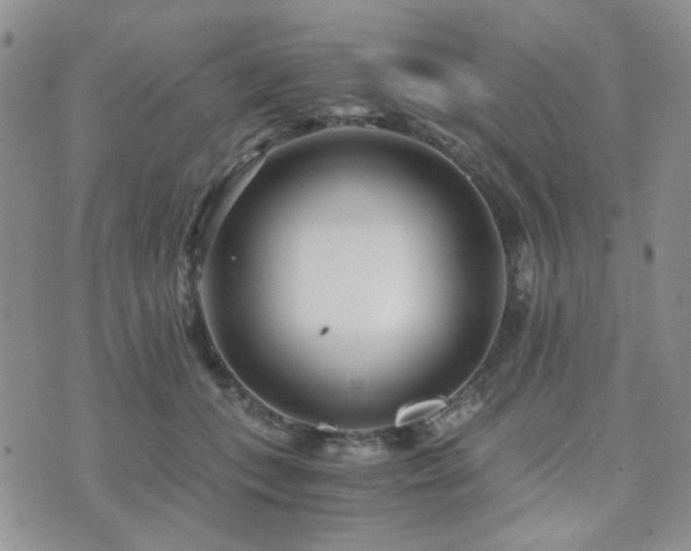 X0000073700559200608031217