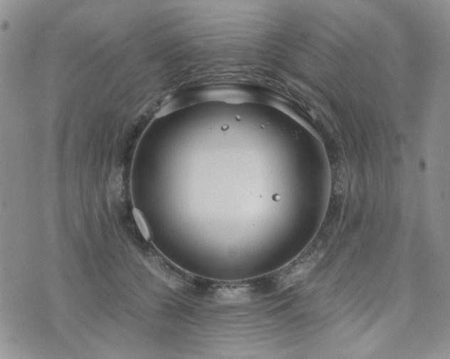 X0000073700560200608031217