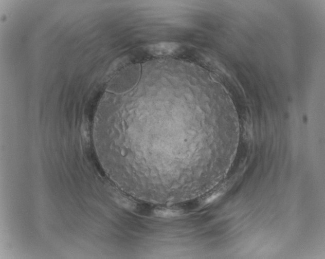 X0000073700561200608031217