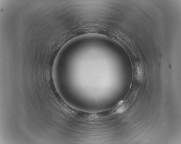 X0000073700562200608031217