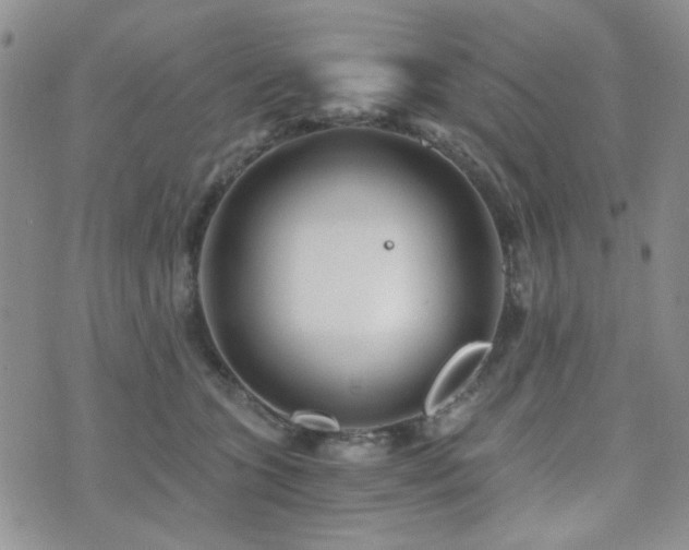 X0000073700563200608031217