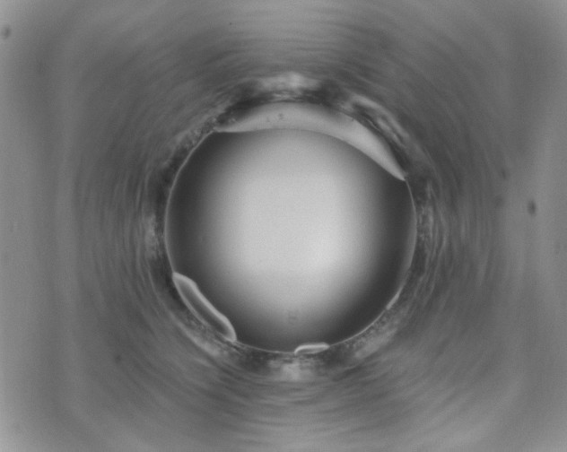 X0000073700564200608031217