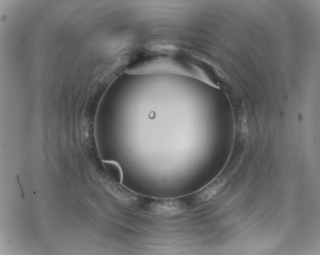 X0000073700567200608031217