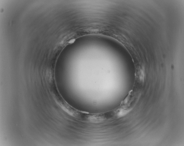 X0000073700568200608031217