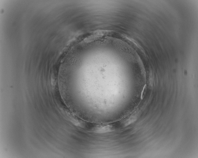 X0000073700569200608031217