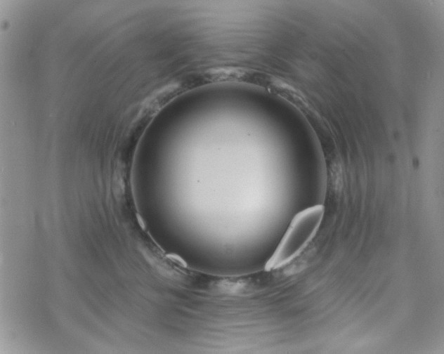 X0000073700570200608031217