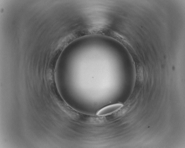 X0000073700571200608031217