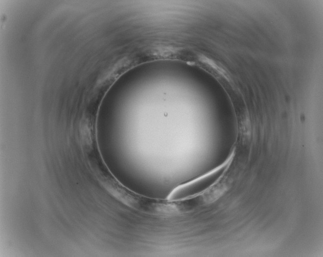 X0000073700572200608031217