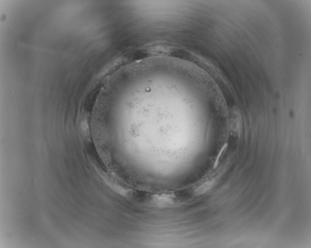 X0000073700573200608031217