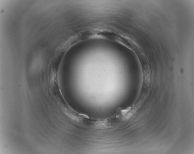 X0000073700574200608031217