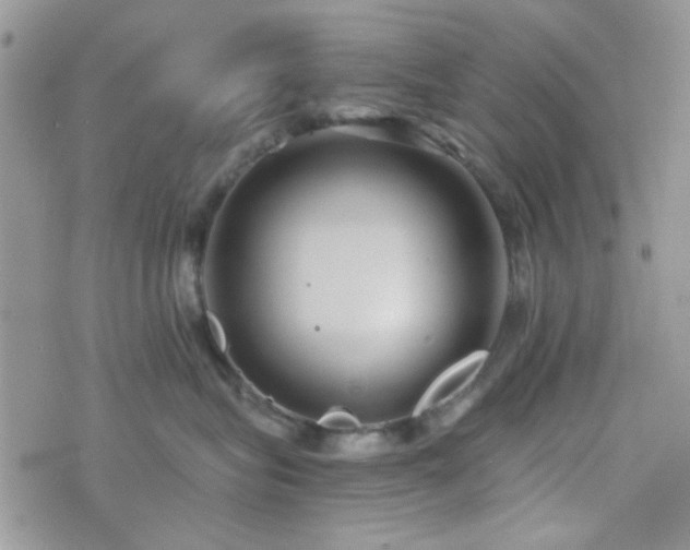 X0000073700575200608031217