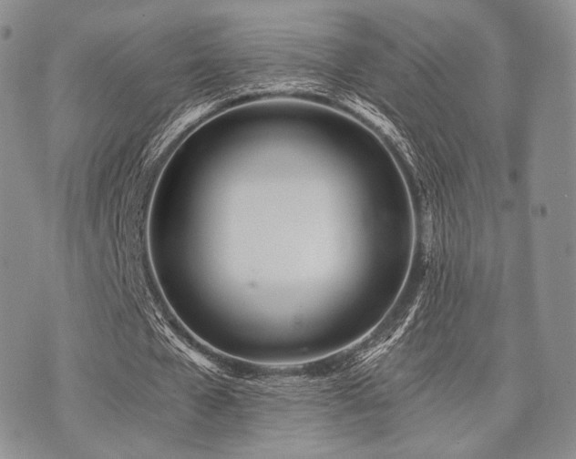 X0000073700577200608031217