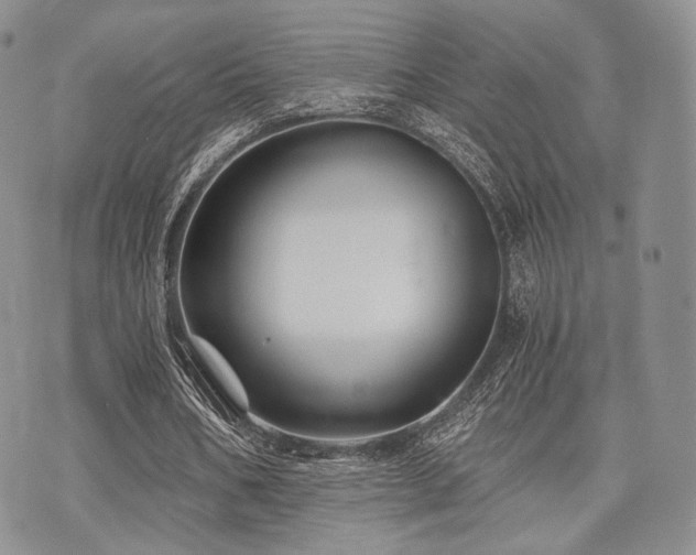 X0000073700578200608031217