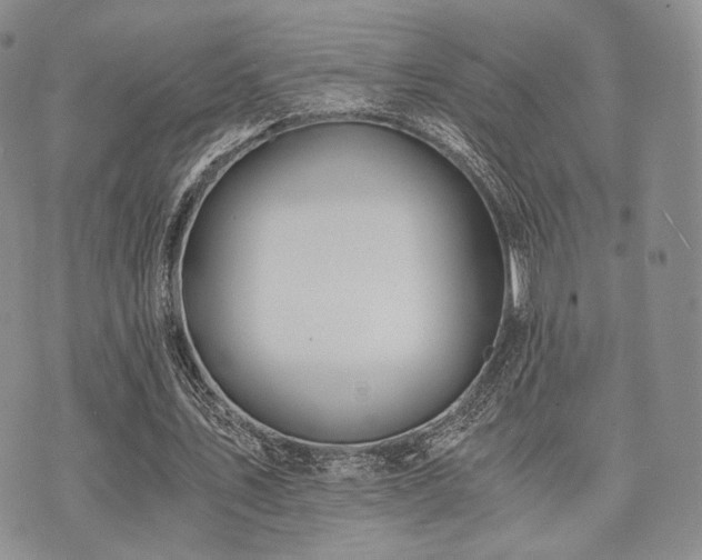 X0000073700579200608031217