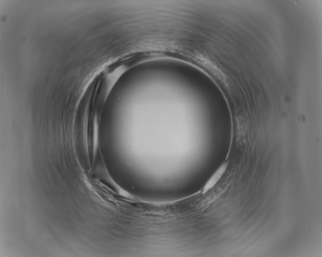 X0000073700580200608031217