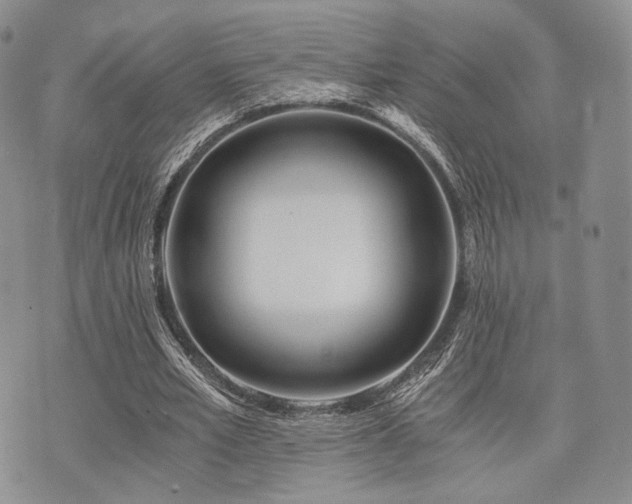 X0000073700581200608031217