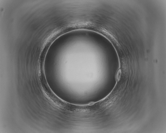 X0000073700582200608031217