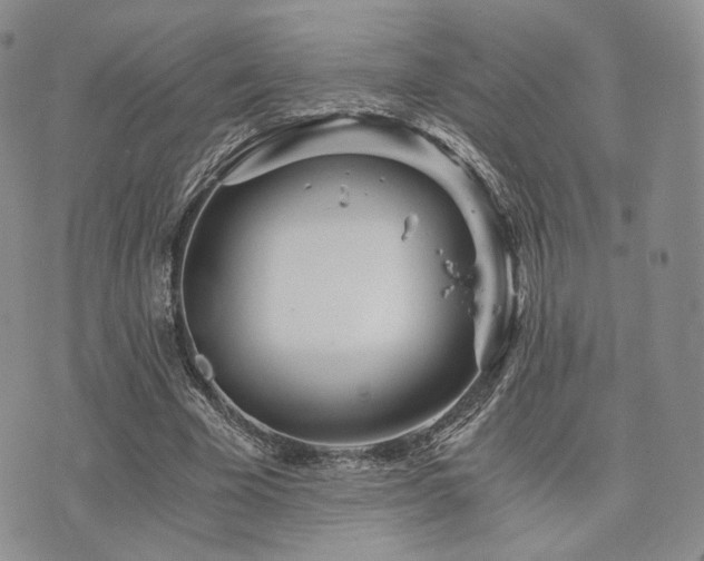 X0000073700585200608031217