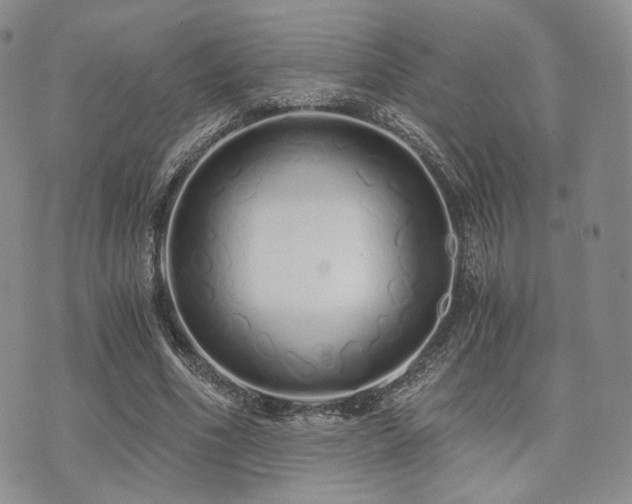 X0000073700586200608031216