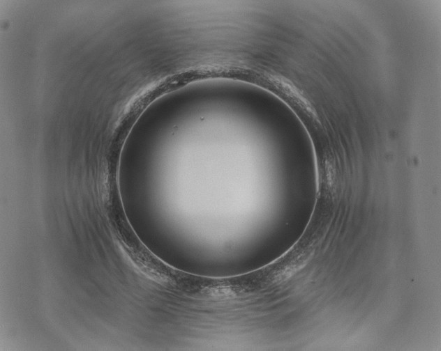 X0000073700588200608031216