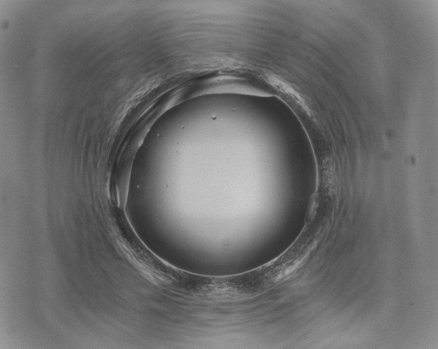 X0000073700589200608031216