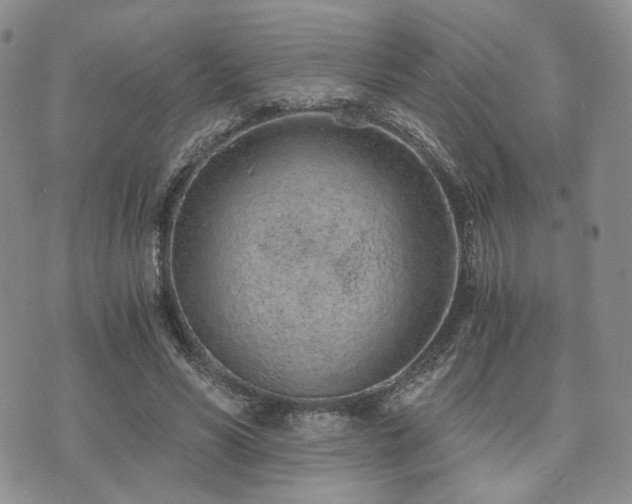 X0000073700590200608031216