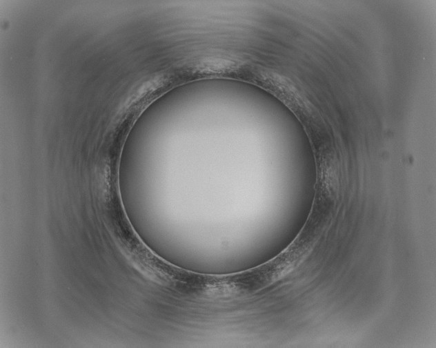 X0000073700591200608031216