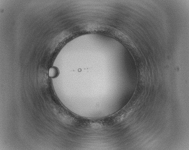 X0000073700592200608031216