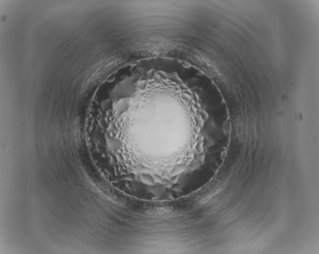 X0000073700594200608031216