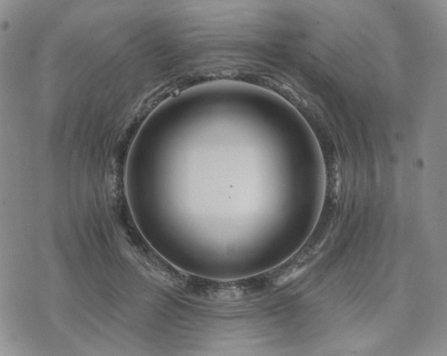 X0000073700600200608031216