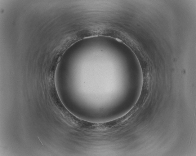 X0000073700601200608031216