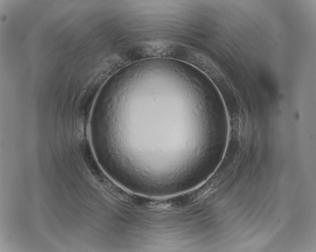 X0000073700602200608031216